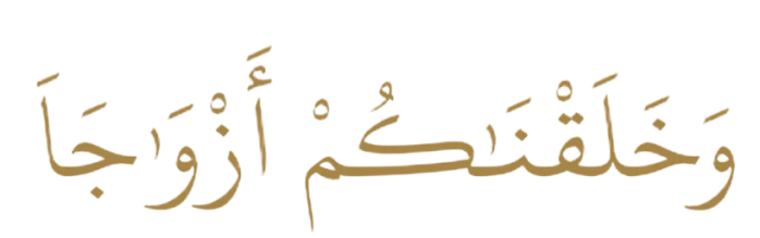 وَخَلَقْنَاكُمْ أَزْوَاجًا